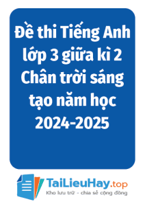Đề thi Tiếng Anh lớp 3 giữa kì 2 Chân trời sáng tạo năm học 2024-2025-TaiLieuHay-03